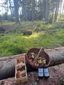 Zwei Körbe aus dem Hamburger Norden; Foto Dirk 3.10.26