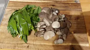 Austernpilze und Bärlauch; Foto Matthias/Happurg 28.2.26