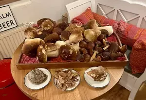 Letzter Jahresfund; Foto Chrischi 15.11.25