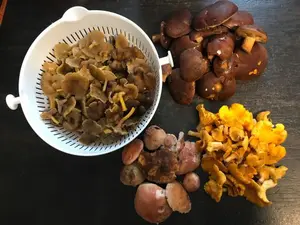 Fund Morbach; Foto Jürgen 2.11.25