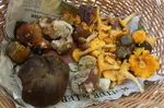 Pilze für eine Mischpilzpfanne; Foto Sepp 15.9.25
