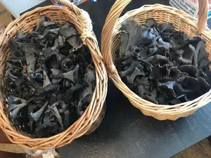 Zwei kleine Körbchen mit Totentrompeten; 