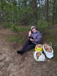 Nadja bei Babrujsk im Osten Weißrusslands nach der Hallimaschlese; Foto Frank 8.11.25