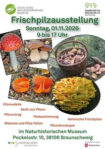 Frischpilzausstellung am 1. November 2026