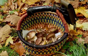 PIlzkorb im Herbst; Foto Baeri 25.10.25