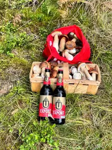 Voller Korb, volle Jutebeutel: Toller Saisonauftakt! Foto Dirk 14.9.26