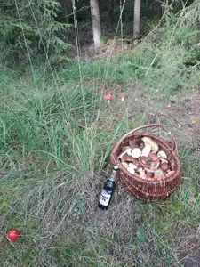 Voller, schwerer Korb; Foto Dirk 28.9.26