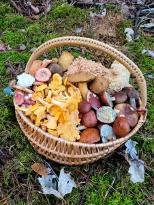 Verenas voller bunter herbstlicher Korb; Foto Verena 18.10.26