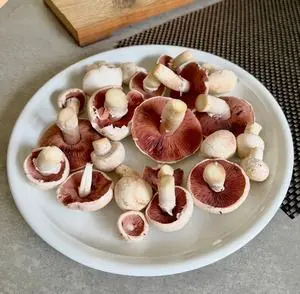 Beste Wiesenchampignons; Foto Monika 8.10.26