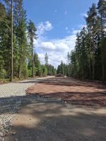 Windkraft-Autobahn mitten im Wald; Foto Miguel 25.5.25