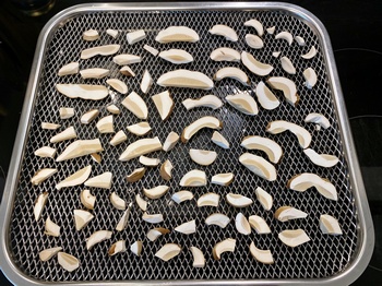 Geschnittene Sommersteinpilze; Foto Stefan 14.6.24