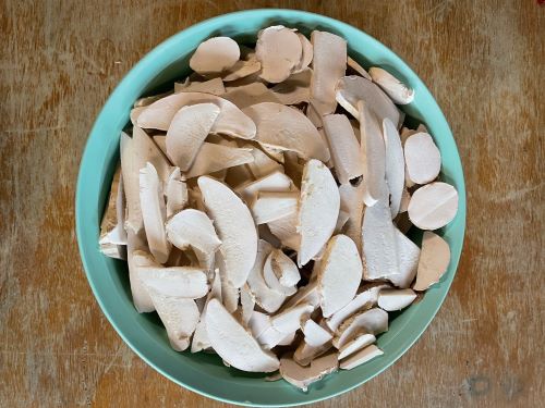 Birkenporlinge, in Scheiben geschnitten; Foto Daniel 13.9 Birkenporlinge, in Scheiben geschnitten; Foto Daniel 13.9