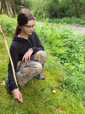 Cara sucht Pfifferlinge; Foto Michael 12.6.24
