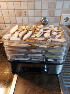 Steinpilze in fünf Etagen im Dörrautomaten; Foto Ivanka 14.11.25