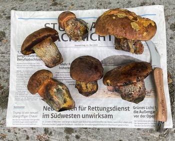 Flockis Tageszeitung Heiko 11.5.23