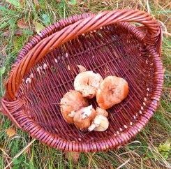 Kleiner Fund; Foto Martina 9.10.25