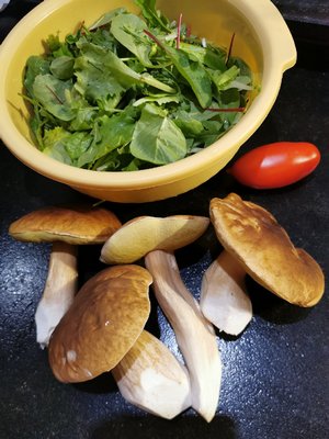Steinpilze Salat Corinna 30.10.22