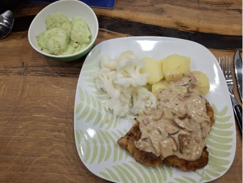 Schnitzel mit einer Steinpilzjägersauce, Kartoffeln, Blumenkohl und  Gurkensalat; Foto Onno 15.11.25