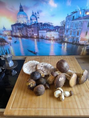 Gesamtfund mit Italien-Motiv; Foto Piero 9.8.25 Gesamtfund mit Italien-Motiv; Foto Piero 9.8.25