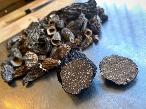 Getrocknete Spitzmorcheln (links) und eine vollreife halbierte Burgundertrüffel; Foto Stefan 25.12.24