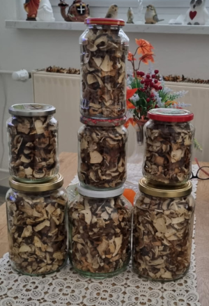 Gläser mit Trockenpilzlen; Foto Bodo 20.10.25