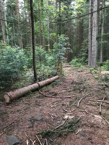 Harvester Zerstörung Heiko 31.5.19