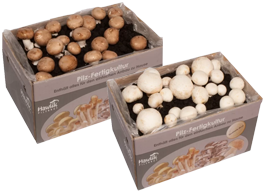 Hawlik Champignons