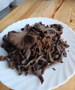 Herbsttrompetenausbeute auf Teller; Foto Heidrun 19.9.25