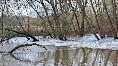 Hochwasser Fulda PeterC 13.1.23