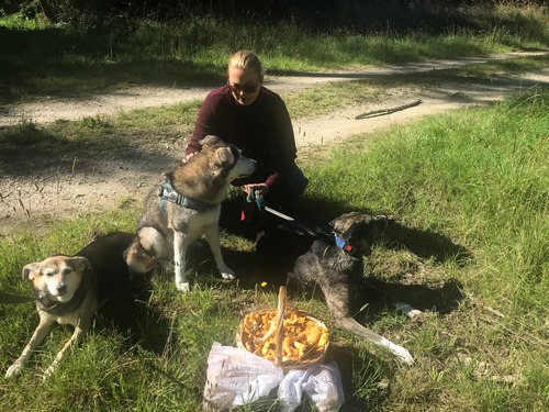 Hundewacht am Pfifferlingskorb; Foto Jürgen 24.9.23