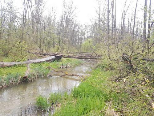 Isar Wendelin 24.4.23