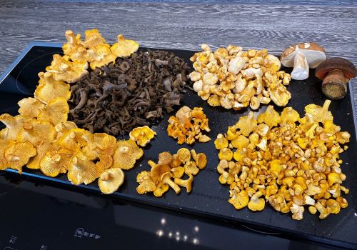 Artenreiche Leistlingsschau; Foto Stefan 7.7.24