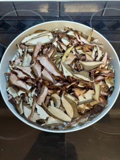 Fertig getrocknete Pilze; Foto Margit 5.11.25