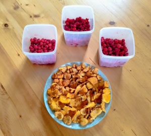 Echte Pfifferlinge (oben) und Aprikosenpfifferlinge (unten) sowie drei Schälchen Himbeeren; Foto Michael 19.7.25