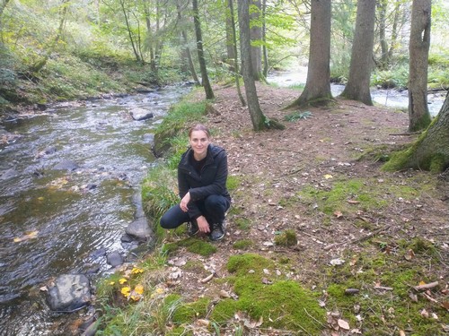 Jule begutachtet die Aprikosenpfifferlinge auf der Rur-Insel; Foto Michael 5.10.23