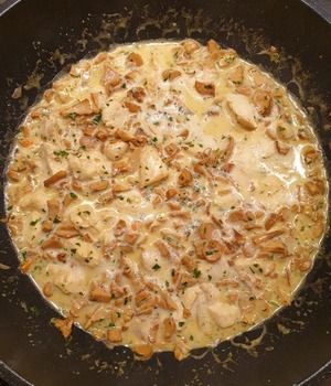 Pfanne voller Blasser Laubwaldpfifferlinge in Sahnesauce; Foto Agnes 3.7.26 Pfanne voller Blasser Laubwaldpfifferlinge in Sahnesauce; Foto Agnes 3.7.26