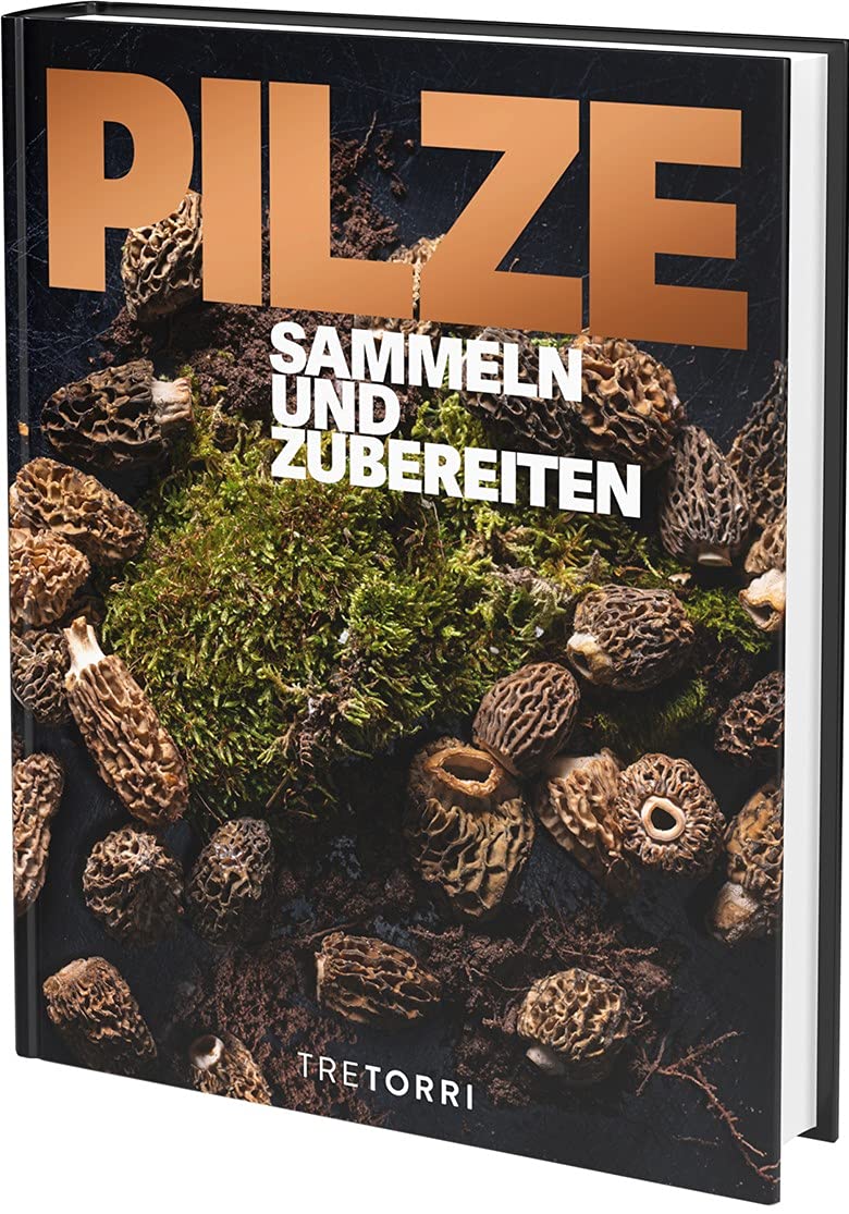 Pilze sammeln zubereiten