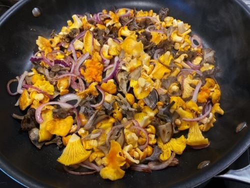 Pilzpfanne für das Pastagericht; Foto Stefan 15.7.24