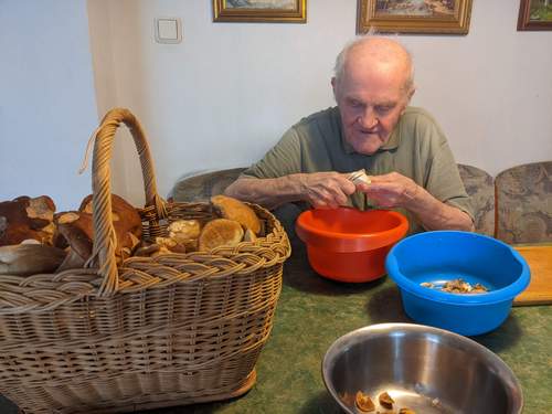 Norberts Vater schneidet Steinpilze; Foto Norbert 16.8.23