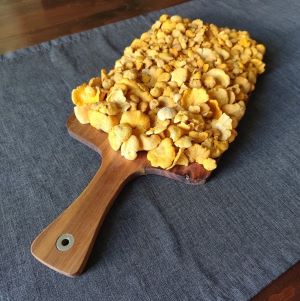 Schaufelbrett mit 1,2 Kg Pfifferlingen; Foto Michael 24.6.24