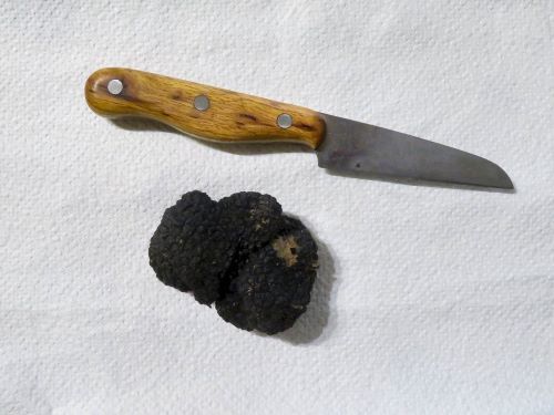 Sommertrüffel mit Messer; Foto Michael 20.12.24