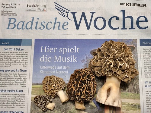 Speisemorcheln Zeitung Thomas 9.4.23