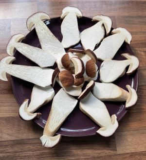 Längsgeschnittene Steinpilzscheiben; Foto Dirk 19,9,25