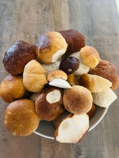 Steinpilzbollen in der Schüssel; Foto Julius 26.9.25