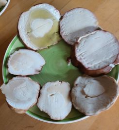 Steinpilzköpfe zum Panieren; Foto Ivanka 13.11.25