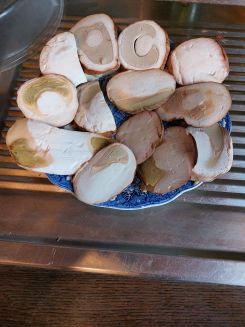 Steinpilzköpfe; Foto Ivanka 14.11.25