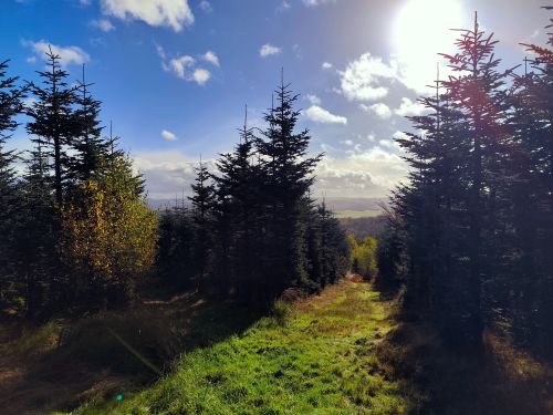 Steinpilzland; Foto Michael 24.10.25