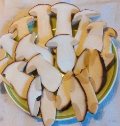 Geschnittene Steinpilzscheiben; Foto Ivanka 27.10.25