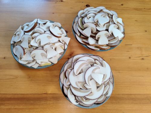 Steinpilzscheiben in 1A-Qualität; Foto Michael 24.10.25