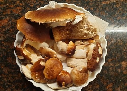 Steinpilze auf Teller; Foto Agnes 12.11.25